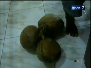 Dituduh Mencuri Kelapa, Seorang Pria Ditahan