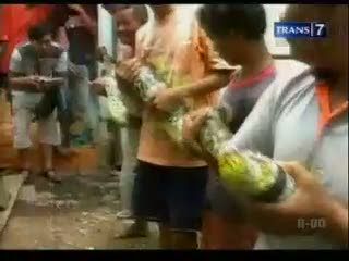 Warga Tangkap Ular Sanca Pemangsa Ternak