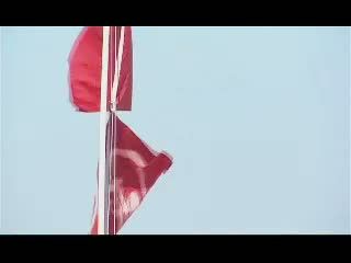 Ribuan Hiu Datangi Pantai