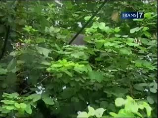 Ledakan di Depan Kapolda Kalteng
