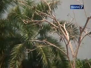 Cuaca Panas Kian Ektrem