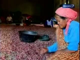 Cegah Pencurian, Petani Ronda Bawang