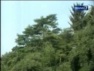 Tersangkut di Pohon, Bunuh Diri Gagal