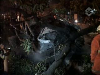 Tabrak Pohon, Pengemudi Tewas Terpanggang