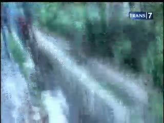 Rusa Kebun Binatang Kabur ke Jalan Raya