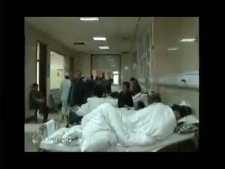 Dunia Waspadai Sebaran Virus Flu Burung Terbaru