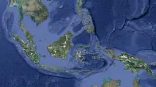 Hutan Mangrove, Alternatif Berwisata Atau Bencana?