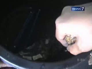 Demi Lulus UN, Siswa Berburu Air Ponari