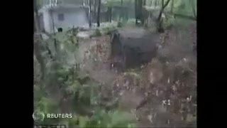 Panda Panik Saat Gempa Mengguncang Cina
