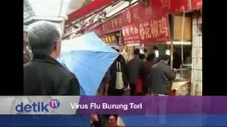 Virus Flu Burung Terbaru Semakin Meluas? 