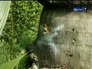 Ustad Jeffry Berpulang di Usia 40 Tahun
