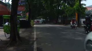 Waspadai Bahaya Pohon Tumbang