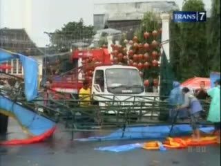 Pohon Tua Sang Penjaga Kota