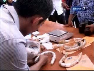 Modus Penyelundupan Narkoba Kian Beragam
