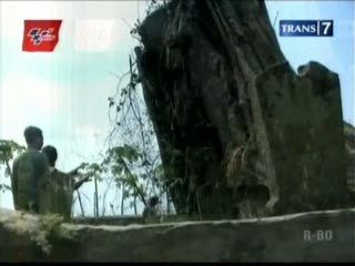 Pohon Raksasa Ajaib, Sudah Tumbang Berdiri lagi