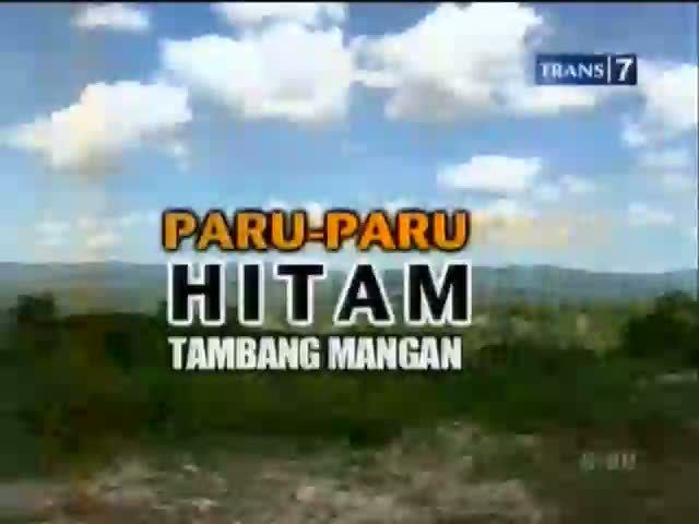 Paru-paru Hitam Tambang Mangan