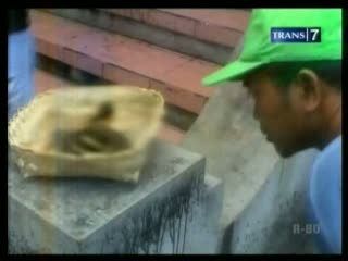 Penemuan Jenglot di Pantai Hebohkan Warga