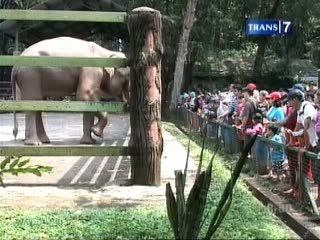 Liburan, Tempat Wisata Penuh Sesak