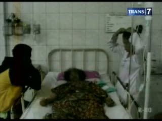 Nenek Tua Sekarat Diseruduk Babi Hutan