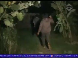 Tak Punya Rumah Layak, Anak Terpaksa Tidur di Pasar