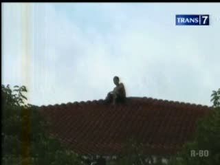 Pencuri Kabur Saat Diperiksa Polisi