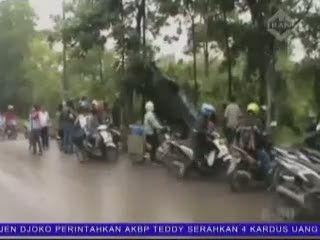 Mabuk, Mobil Menabrak Sampai Naik Pohon
