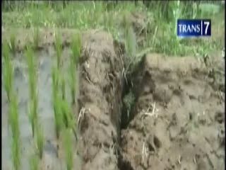 Tanah Amblas, Ratusan Warga Mengungsi