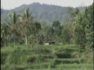 Rombongan Anggota DPRD yang Hilang Kontak di Hutan, Ditemukan