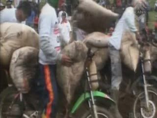 Seru! Turnamen Motor Cross Ojek Gunung