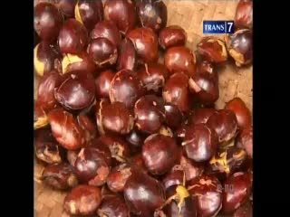 Jengkol Langka, Harga Petai Turut Meroket
