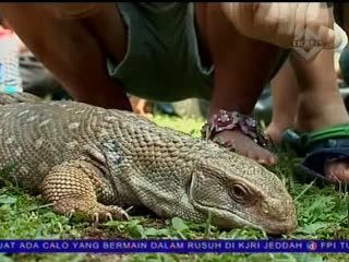 Flona Fauna, Pameran Hewan Langka 