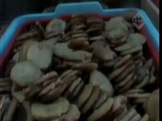Sebulan Tutup, Kedai Jengkol Bandrol Rp 15 Ribu per Keping