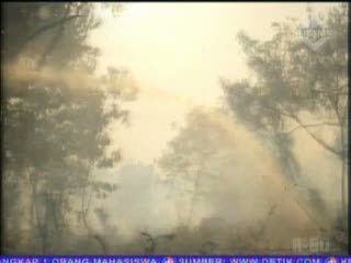 Titik Api Picu Kabut Asap dari 4 Kabupaten