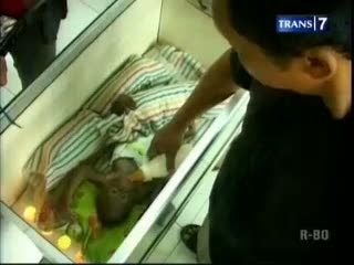 Bayi Orang Utan Lahir Selamat di KBS