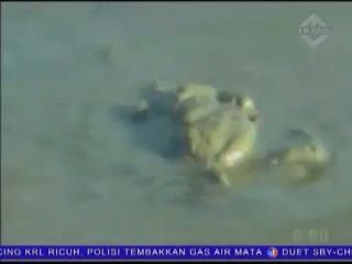 Liburan Sambil Memanen Kepiting