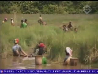 Berburu Ikan ala Masyarakat Dayak