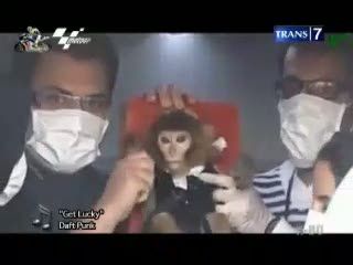 Hewan-hewan Lucu Jadi Astronot
