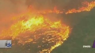 Terjebak Api, 19 Petugas Pemadam Kebakaran Tewas