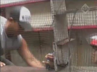Dirazia, Pemilik Cafe Remang-remang Bertahan dalam Gerobak