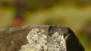 Pastikan Usia Situs, Penggalian Kembali Dilakukan di Gunung Padang
