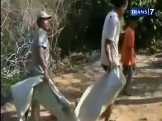 Sempat Menghilang, Pria Tewas Tergantung