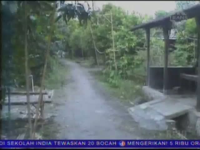 Ribuan Lalat Serang Dua Pemukiman Warga