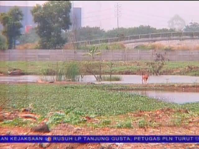 Lahan Masjid Raya Jakarta Rawan Banjir