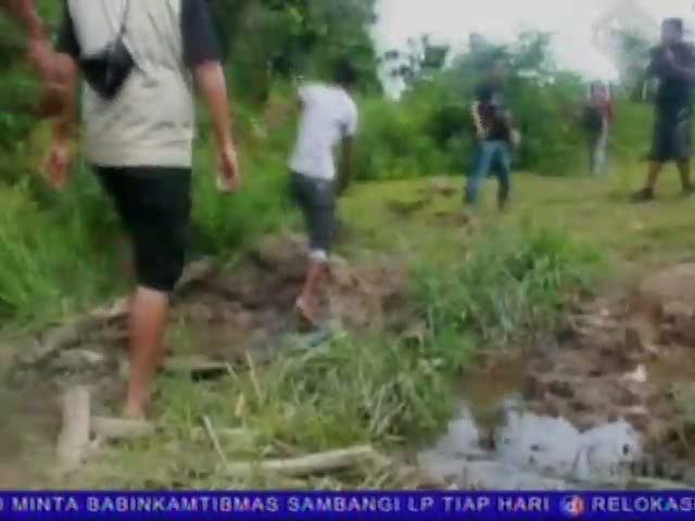 Kematian Gajah yang Terkena Perangkap Mulai Diusut