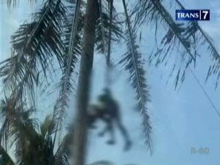 Pria Tewas di Atas Pohon