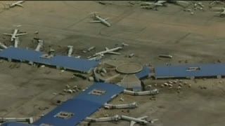 Gara-gara Kawanan Lebah, Penerbangan Tertunda 2 Jam