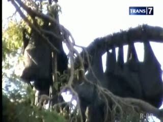Ngabuburit Bersama Ribuan Kelelawar