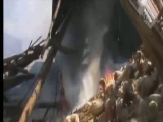 Peternakan Terbakar, 7 Ribu Ayam Terpanggang