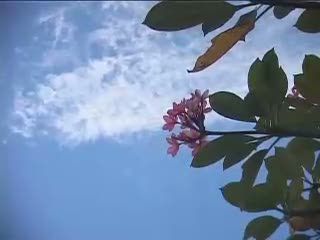 Kehidupan Muslim di Desa Pegayaman, Bali