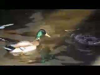 Tradisi Masyarakat Muslim Kazan